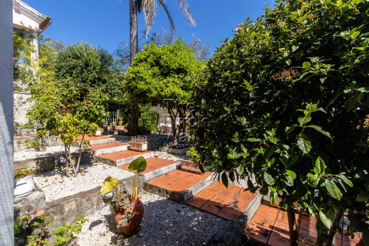 Quinta T4 para Venda em Pontevel Foto 16