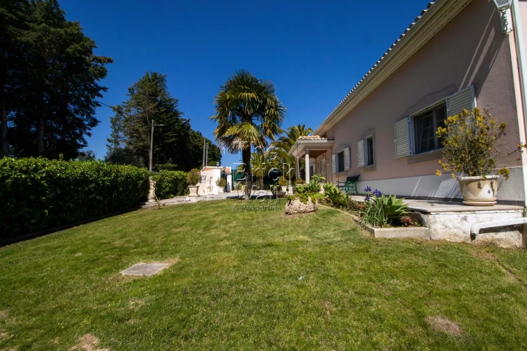 Quinta T4 para Venda em Pontevel Foto 9