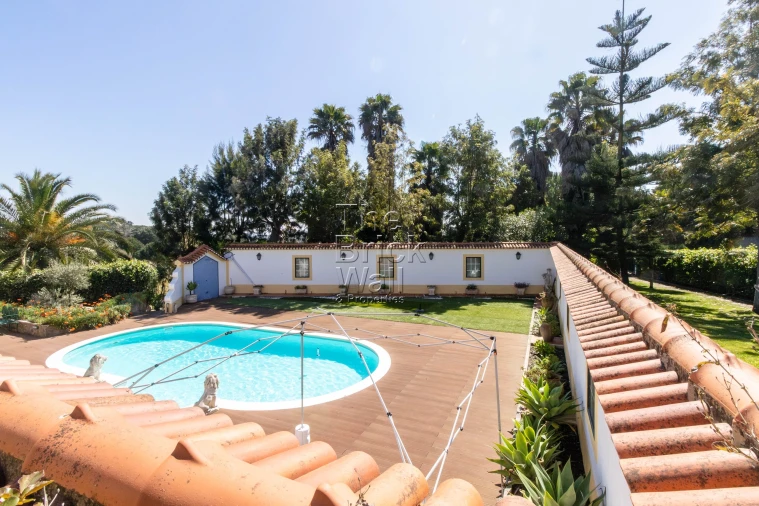 Quinta T4 para Venda em Pontevel Foto 5