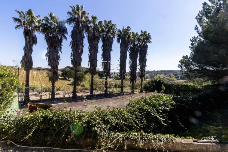 Quinta T4 para Venda em Pontevel Foto 10