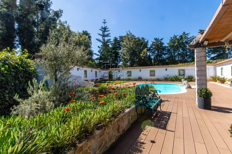 Quinta T4 para Venda em Pontevel Foto 18