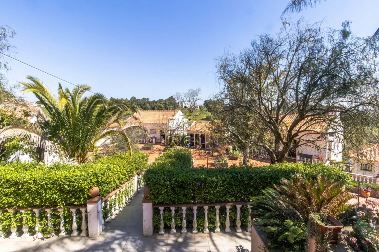 Quinta T4 para Venda em Pontevel Foto 38