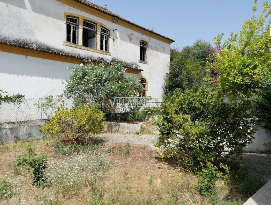 Quinta T11 para Venda em Mouriscas Foto 19
