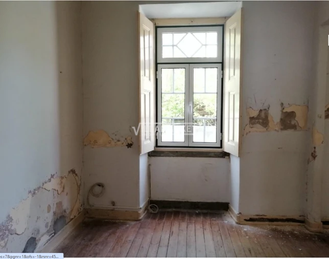 Quinta T11 para Venda em Mouriscas Foto 11