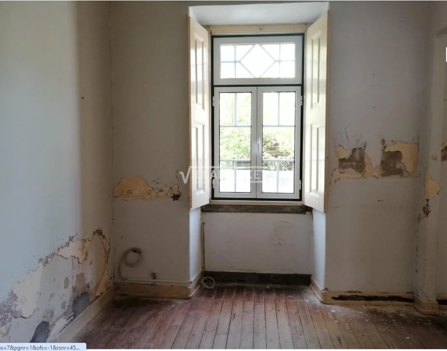 Quinta T11 para Venda em Mouriscas Foto 11