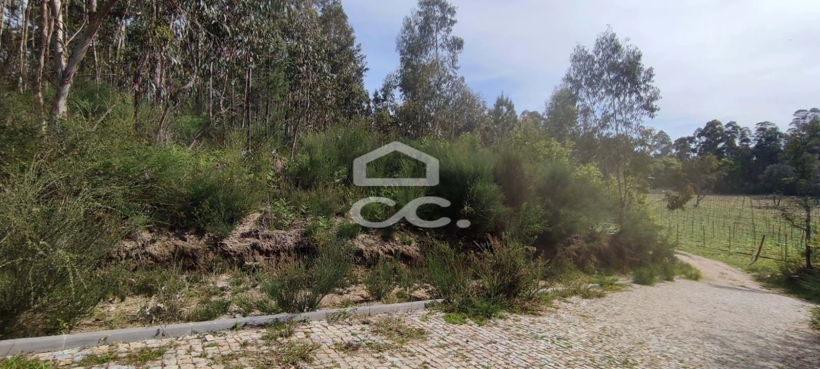 Terreno para Venda em Baltar Foto 1