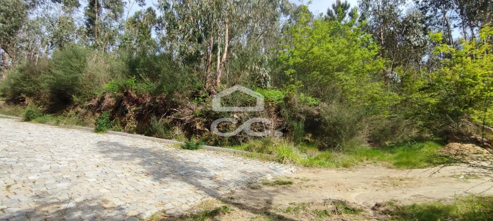 Terreno para Venda em Baltar Foto 8