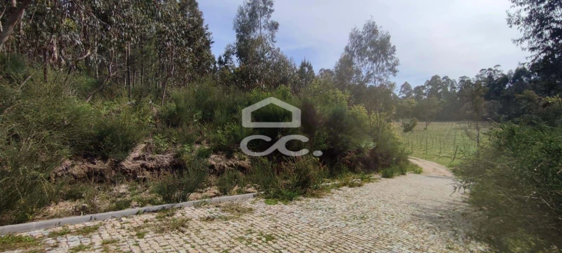 Terreno para Venda em Baltar Foto 4