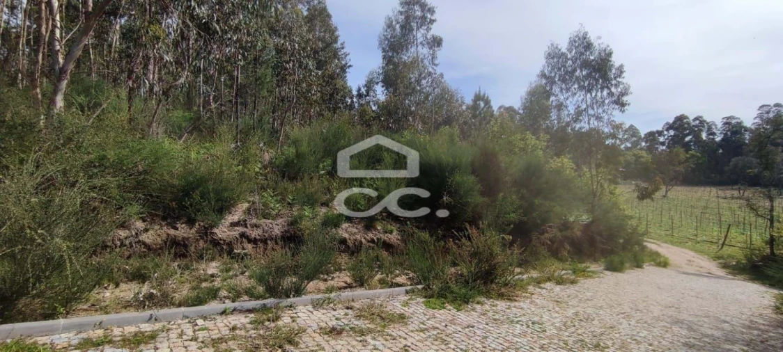 Terreno para Venda em Baltar Foto 1