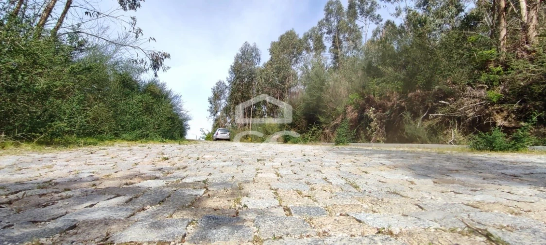 Terreno para Venda em Baltar Foto 10