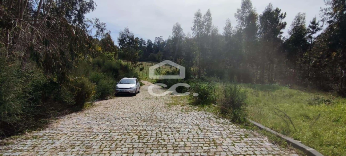 Terreno para Venda em Baltar Foto 3