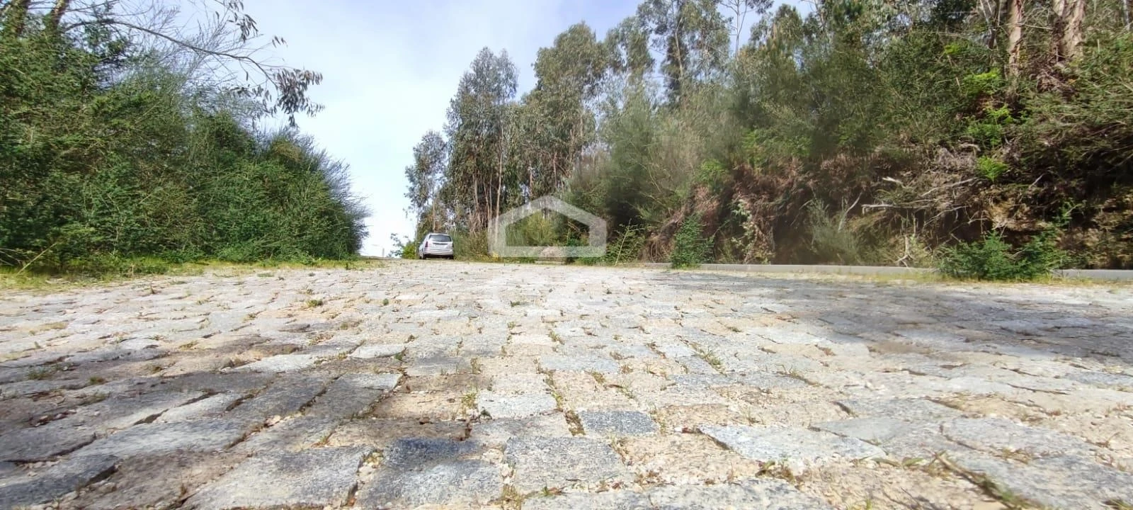 Terreno para Venda em Baltar Foto 9