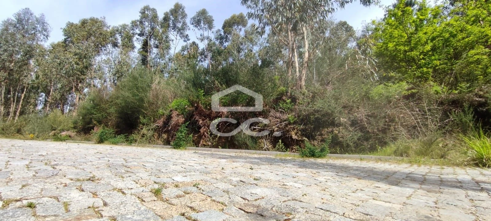 Terreno para Venda em Baltar Foto 7