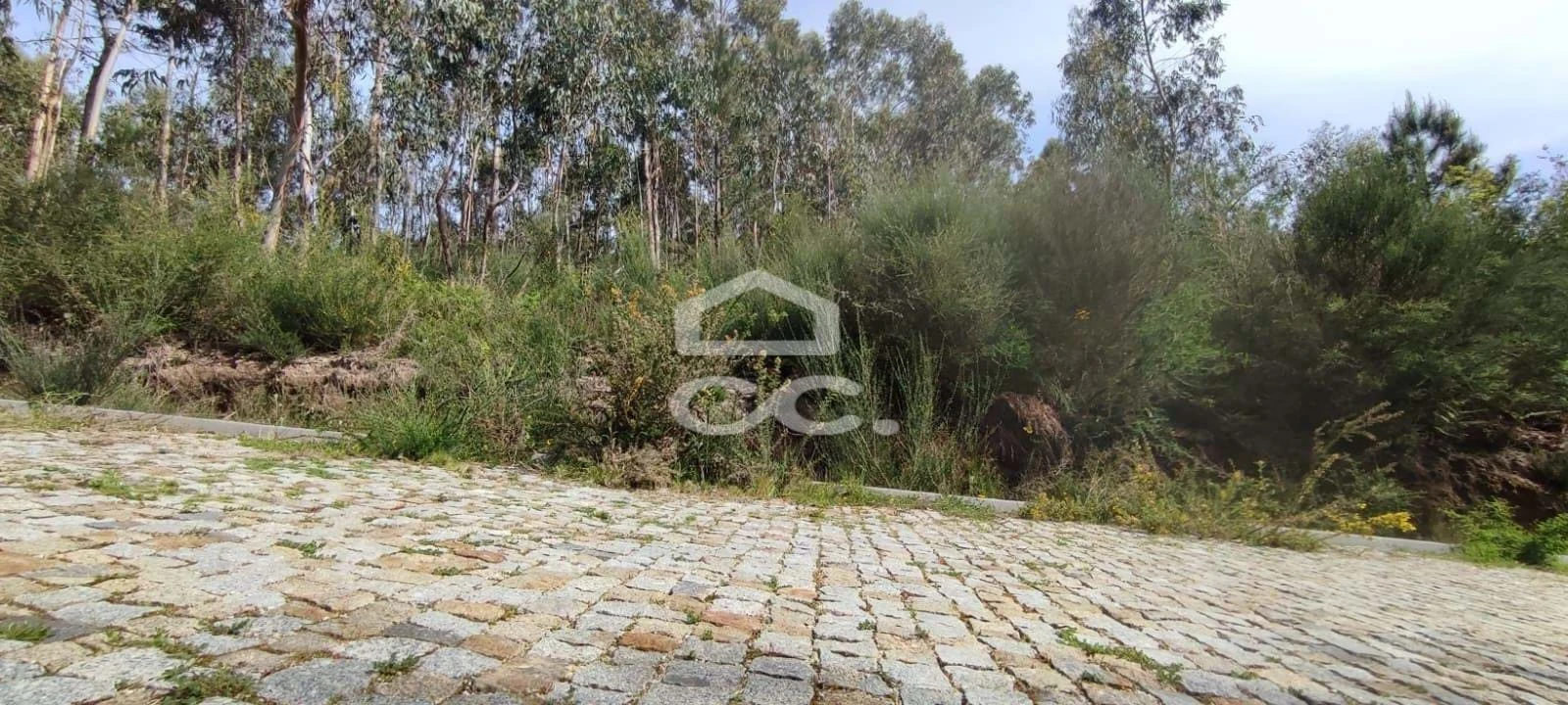 Terreno para Venda em Baltar Foto 6