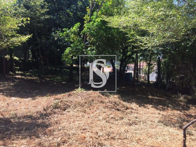 Terreno para Venda em Creixomil e Mariz Foto 6