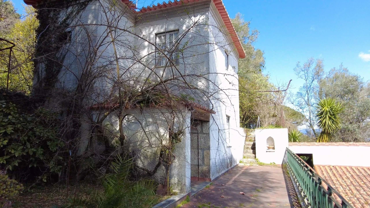 Moradia T5 para Venda em Covelas Foto 4