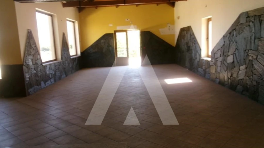 Negócio para Venda em Valongo dos Azeites Foto 2