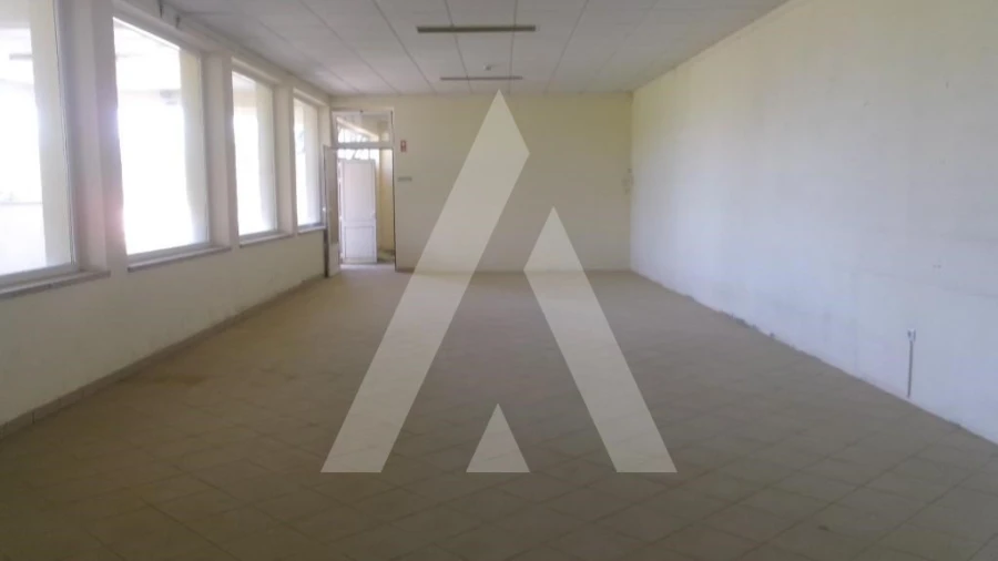 Negócio para Venda em Valongo dos Azeites Foto 21