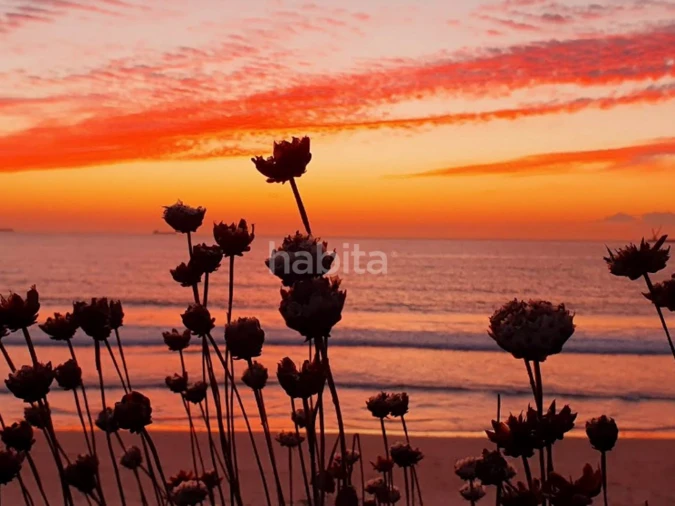 Negócio para Venda em Sines Foto 17