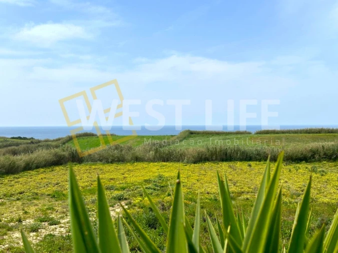 Moradia T4 para Venda em São Pedro da Cadeira Foto 25