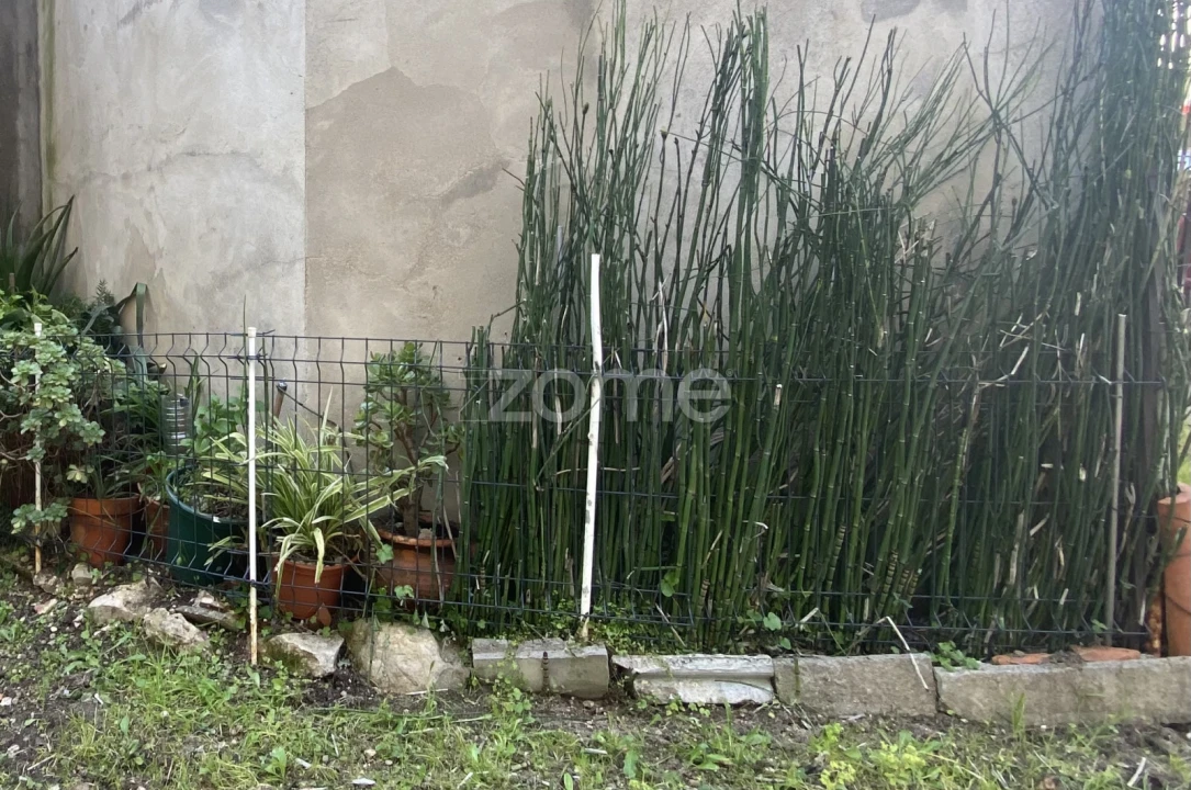 Prédio para Venda em Mealhada, Ventosa do Bairro e Antes Foto 8
