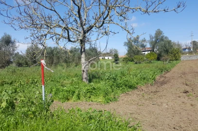 Terreno para Venda em Milagres
