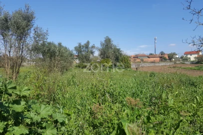 Terreno para Venda em Milagres