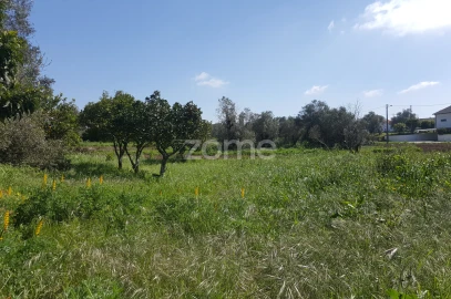 Terreno para Venda em Milagres