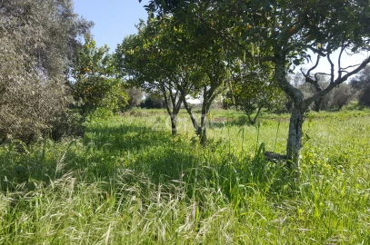Terreno para Venda em Milagres