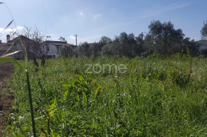 Terreno para Venda em Milagres