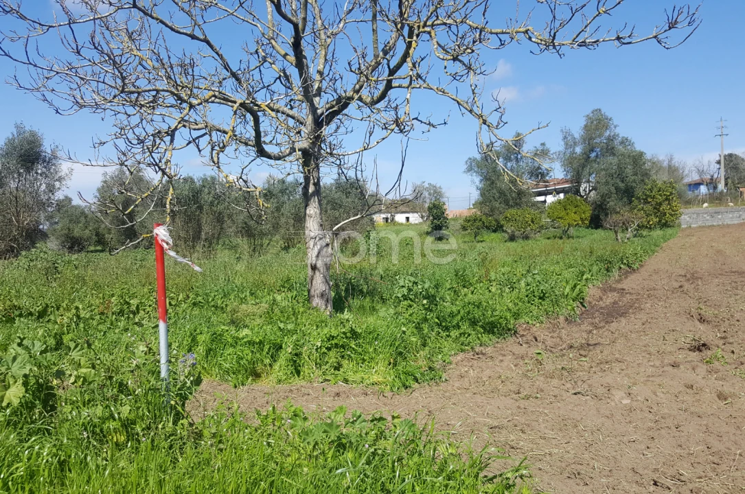 Terreno para Venda em Milagres Foto 3