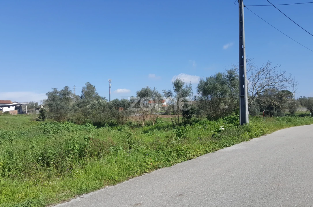 Terreno para Venda em Milagres Foto 5