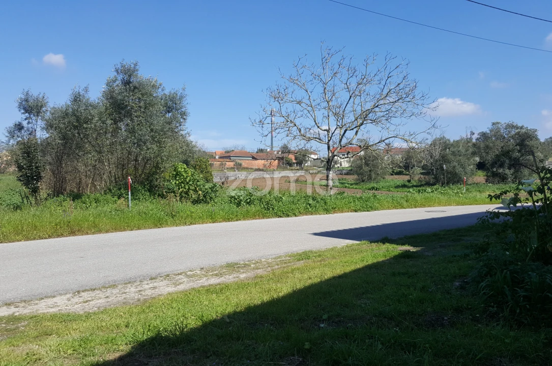Terreno para Venda em Milagres Foto 1