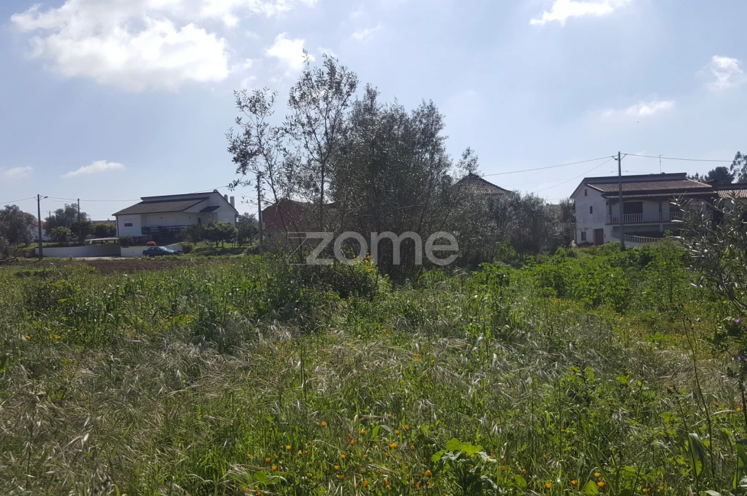 Terreno para Venda em Milagres Foto 9