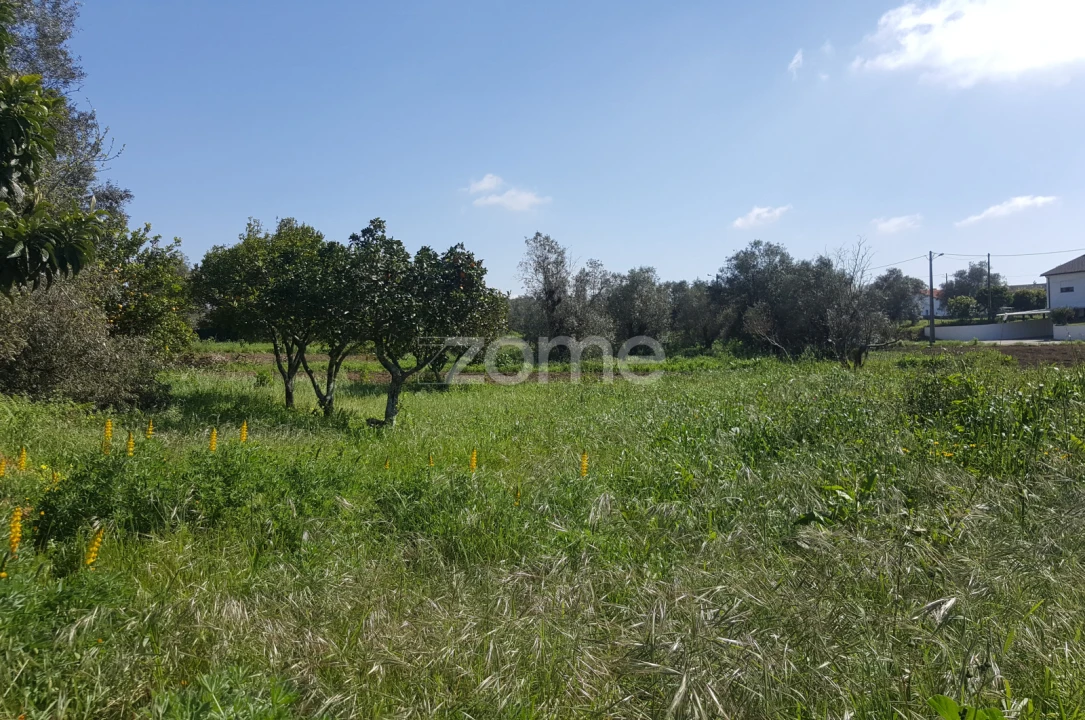 Terreno para Venda em Milagres Foto 10