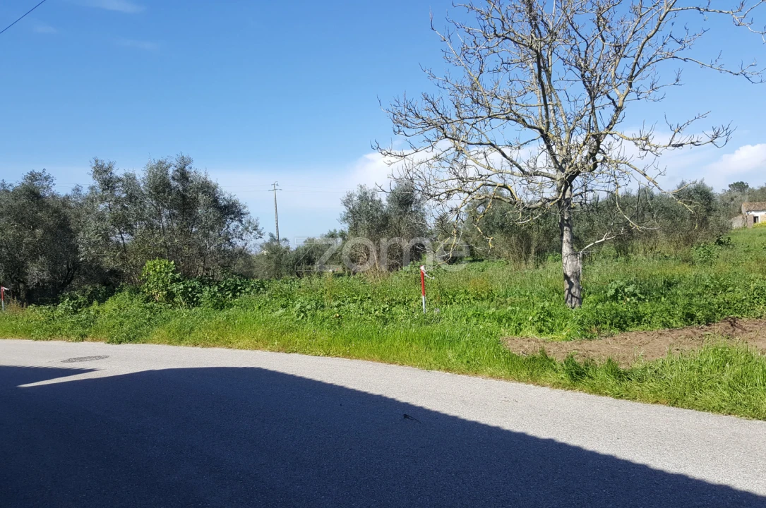 Terreno para Venda em Milagres Foto 14