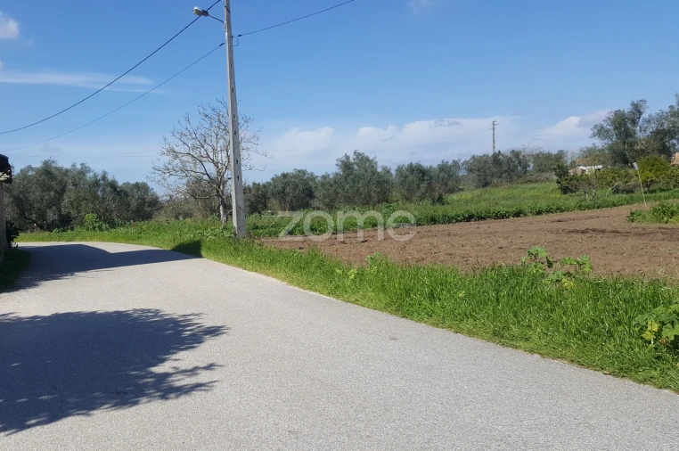Terreno para Venda em Milagres Foto 2