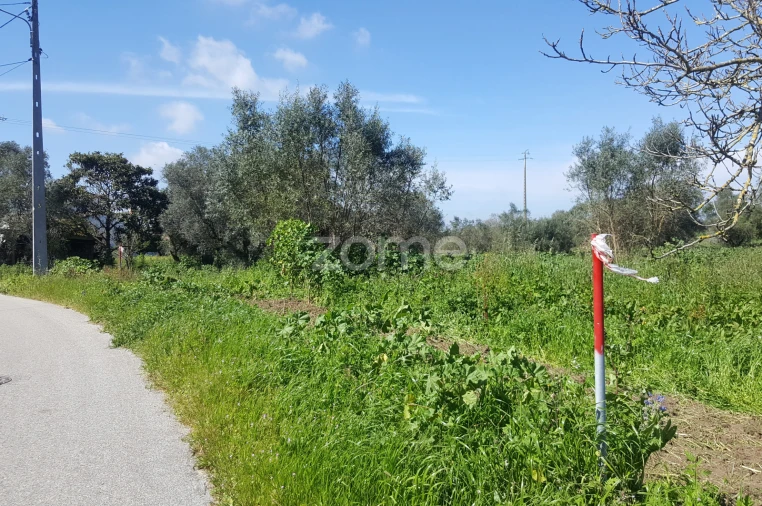 Terreno para Venda em Milagres Foto 4