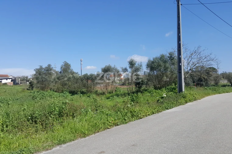 Terreno para Venda em Milagres Foto 5