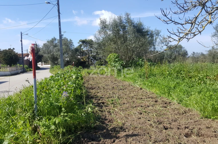 Terreno para Venda em Milagres Foto 7