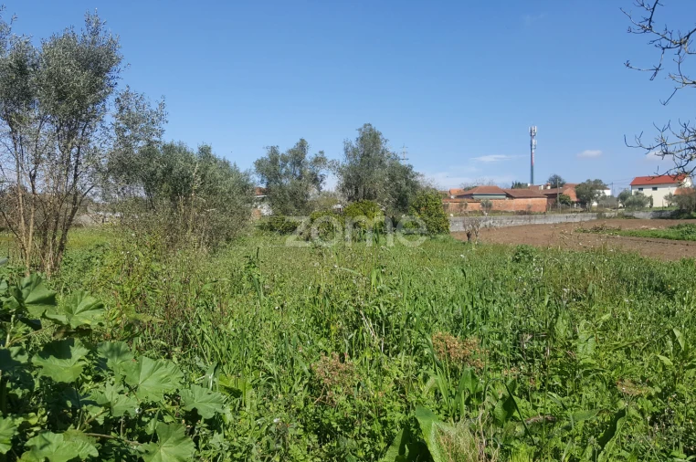 Terreno para Venda em Milagres Foto 8