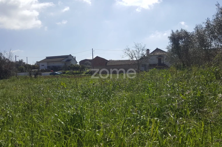 Terreno para Venda em Milagres Foto 13