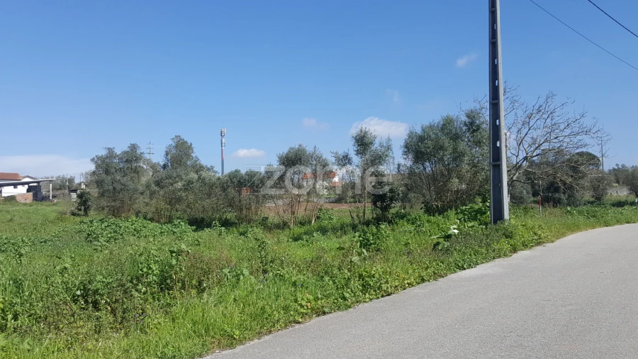 Terreno para Venda em Milagres