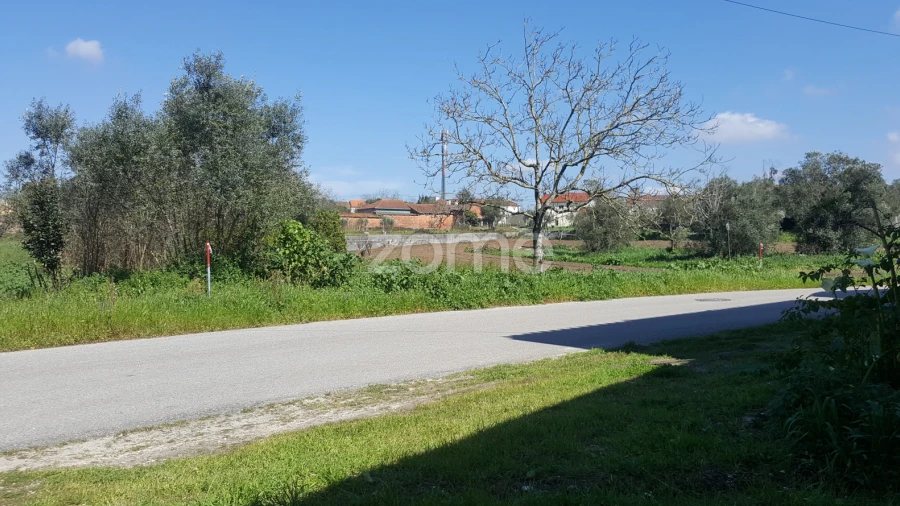 Terreno para Venda em Milagres