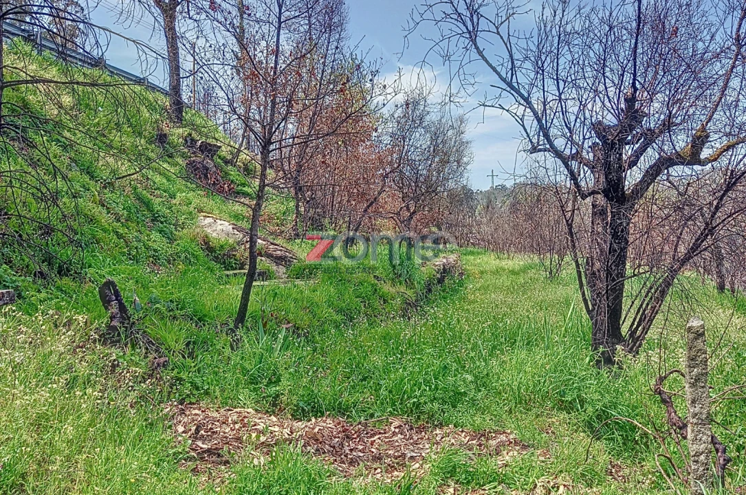 Quinta T4 para Venda em Insua Foto 23