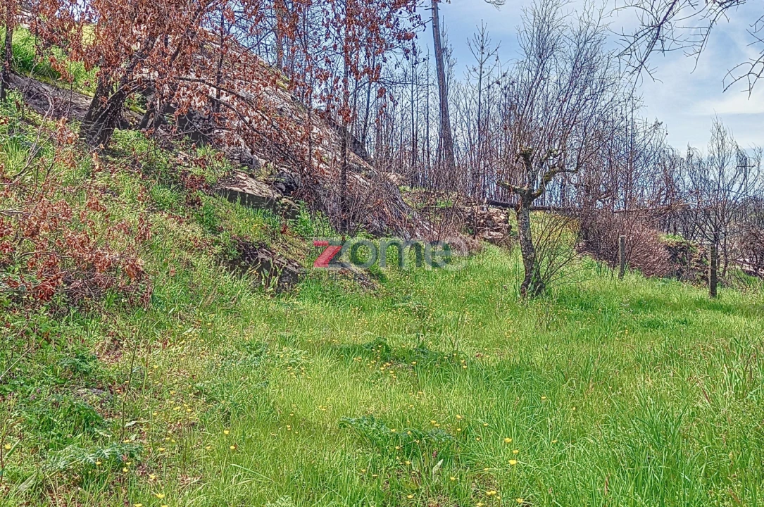 Quinta T4 para Venda em Insua Foto 25