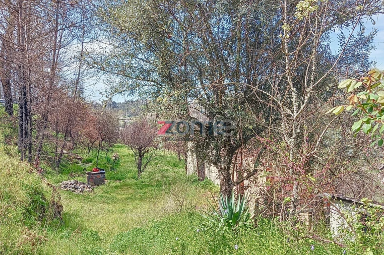 Quinta T4 para Venda em Insua Foto 24