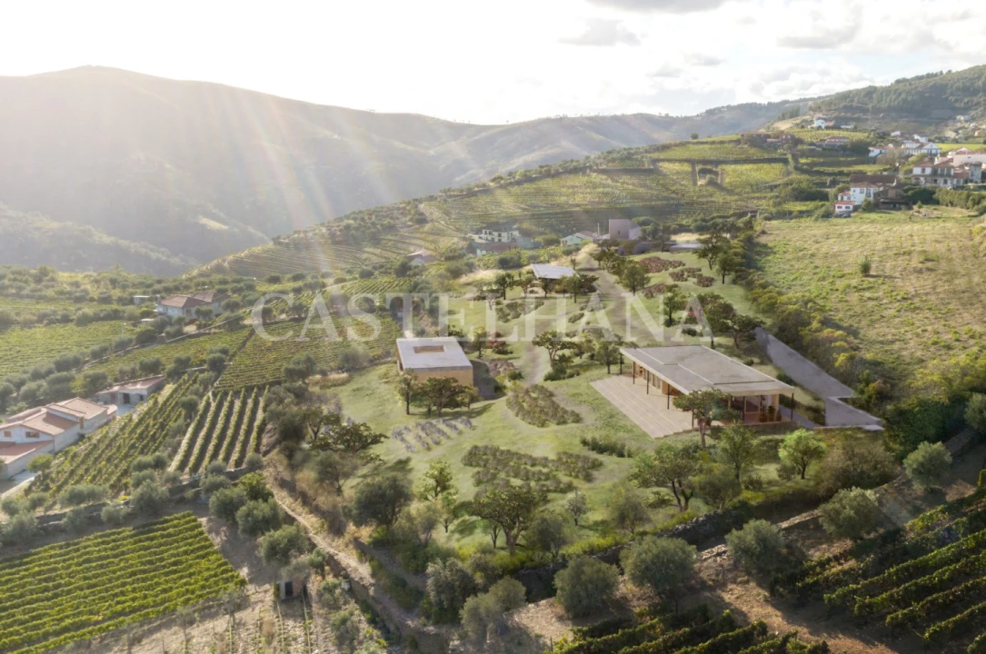 Apartamento T1 para Venda em Provesende, Gouvães Douro, São Cristóvão Douro Foto 5