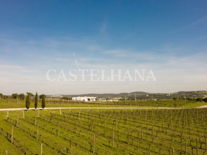 Moradia T4 para Venda em Nossa Senhora da Vila, Nossa Senhora do Bispo e Silveiras Foto 5