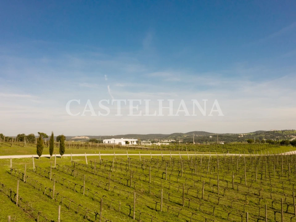 Moradia T3 para Venda em Nossa Senhora da Vila, Nossa Senhora do Bispo e Silveiras Foto 5